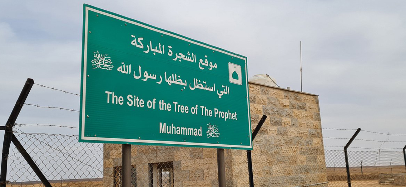 Tree of Al Buqayawiyya - Royal Jordanian