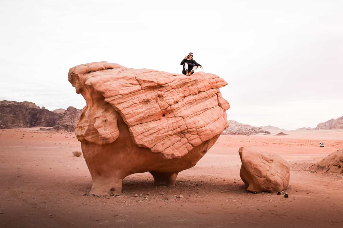 Cow Bug Rocks cow rock - Royal Jordanian