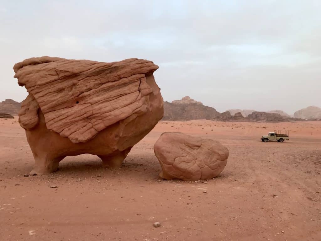Cow Bug Rocks cow rock - Royal Jordanian