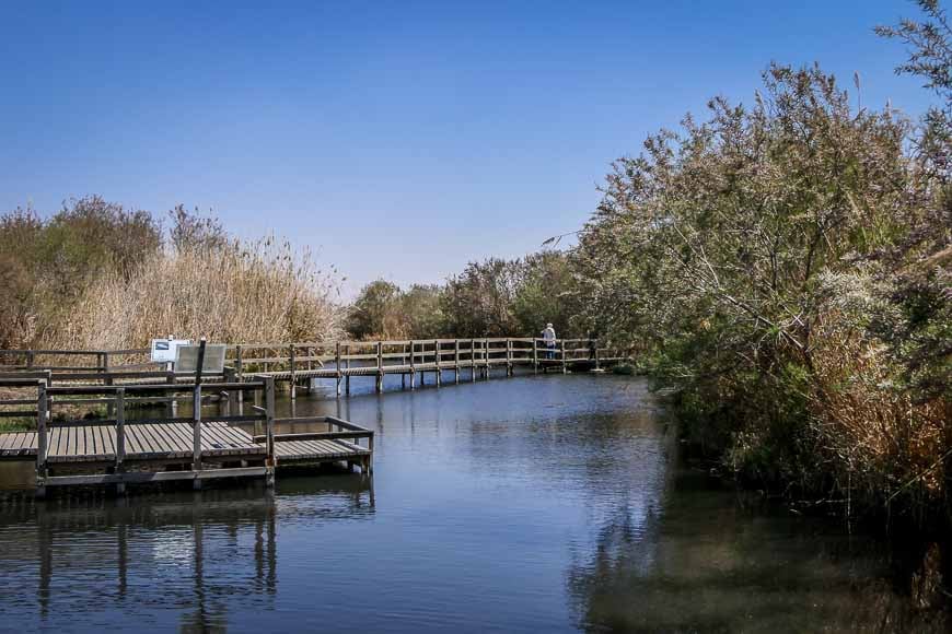 Azraq Conservation Azraq Wetland Reserve - Royal Jordanian
