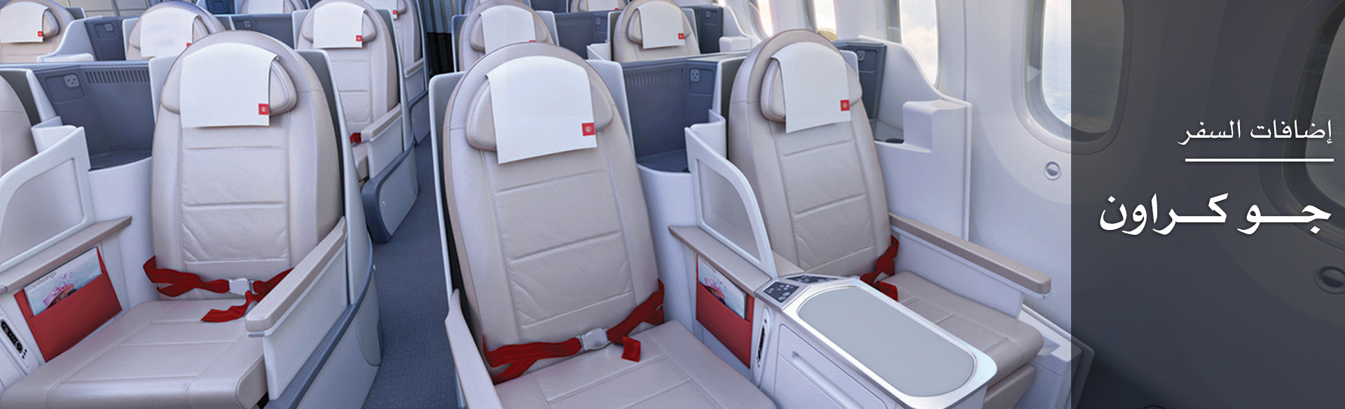 إضافات السفر / جو كراون